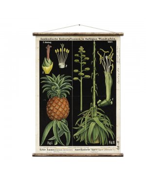 Wall Hanging by Erstwhile | Botanicals | Pineapple & Agave