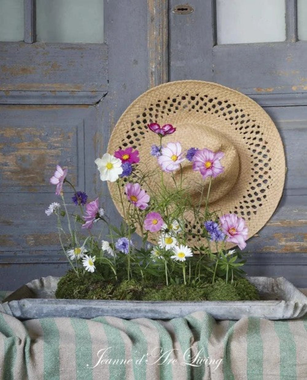 Jeanne d'Arc Living | Issue 5 | 2026